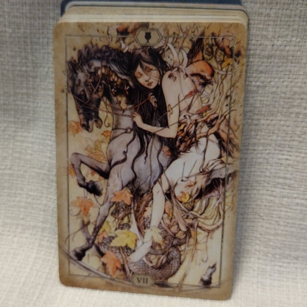 Hush Tarot - Picture 11 of 15